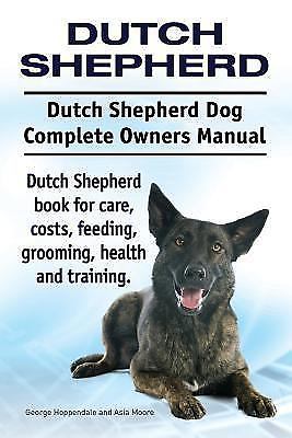 Dutch shepherd - dutch,