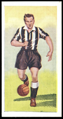 Chix famous footballers s1 - chix, 'famous
