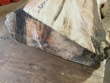 Spalted Purple Beech Bowl