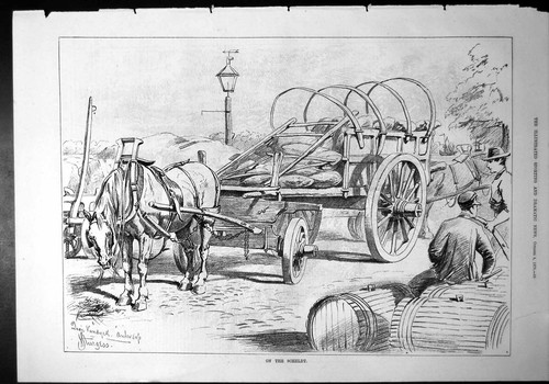 Old scheldt horse eating - old,