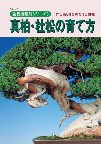 How grow japanese oak - to,