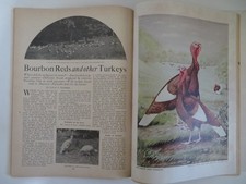 1924 "POULTRY TRIBUNE"