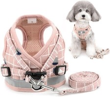  No Pull Small Dog Harness and