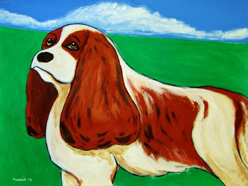 King charles cavalier spaniel - charles,