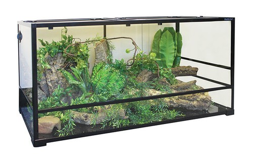 Glass terrarium 45cm - terrarium,