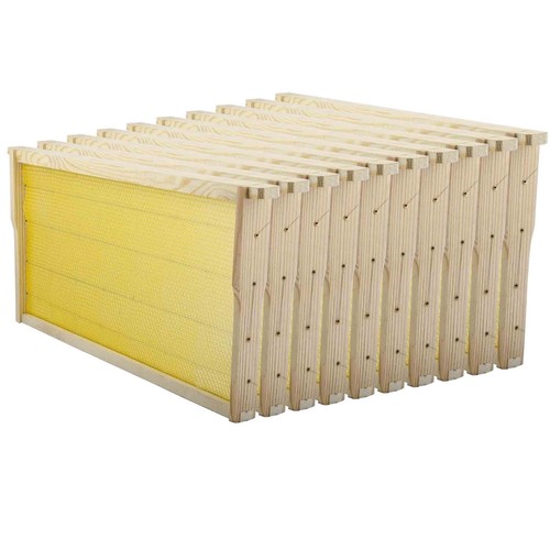 Bee hive frames - frames,