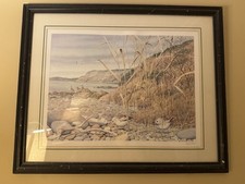 Art Peter Barrett Framed Print