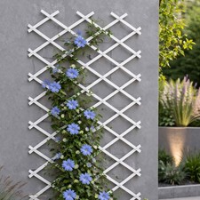 White PVC Plastic Expanding