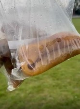 Premium Ponmo Ijebu Cow Skin