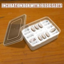 Reptile Egg Box Transparent Hatching Container 16 Grids Reptile Accessory UK