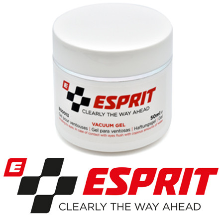 Esprit windscreen repair kit - windscreen,