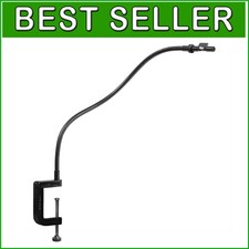 21st Century Camera Lucida