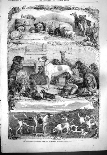 Old antique print 1861 - antique,