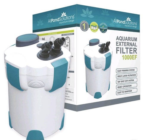 Aquarium fish tank - fish,