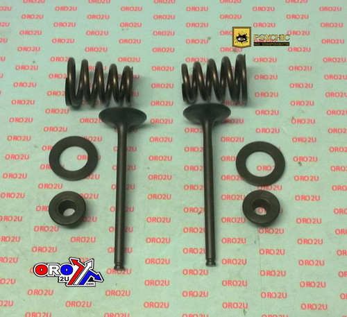 Valve kit exhaust ktm - kit, 450-525