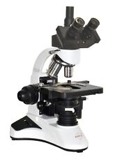 Brightfield Phase Contrast