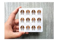 Welsh Springer Spaniel