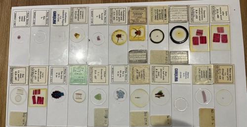 Lovely set 22x - of, biological