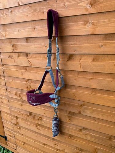 Nylon horse halter - nylon,