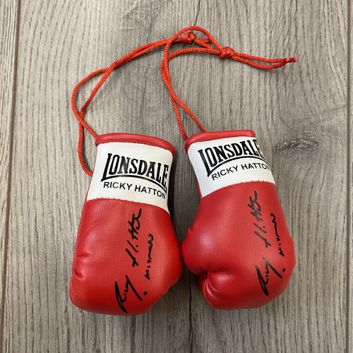 Ricky hatton mini boxing - mini,