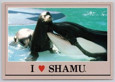 Sea World I Love Shamu Killer