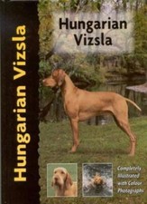 Hungarian Vizsla (Pet