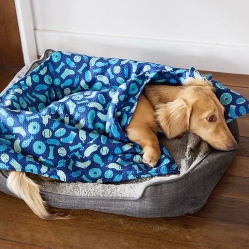 Dock bay dog - dock, a