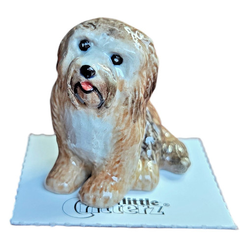 Little critterz dog - dog, havanese