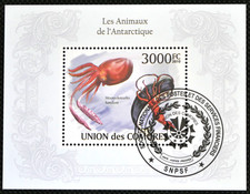 Comoro Islands - 2010 - Giant