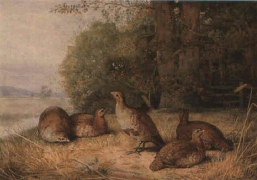 Archibald thorburn print - thorburn,