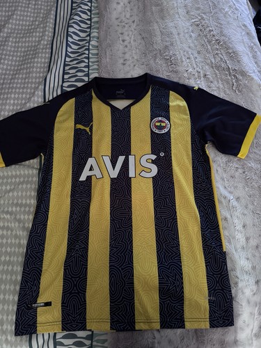 Fenerbahce 2021 home - 2021/22,