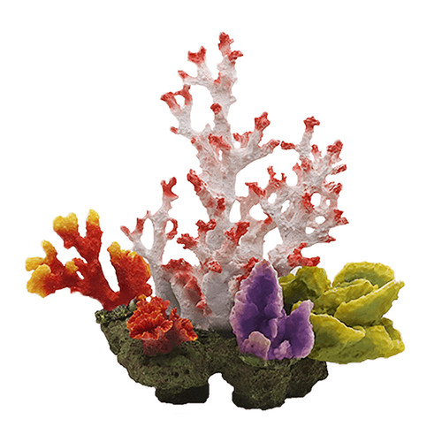 Swell artificial coral reef - swell,