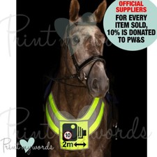 Hi Viz Reflective Breastplate