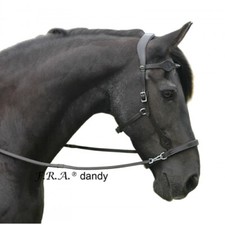 Dandy Sidepull Bitless Bridle