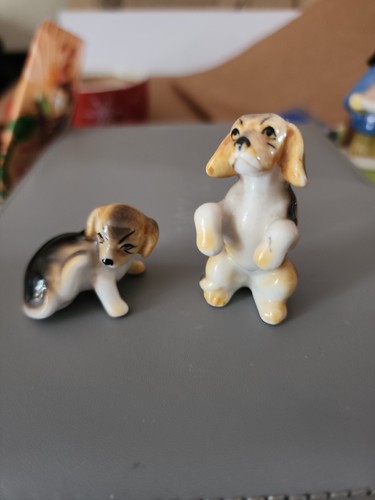 Beagle puppy bone china - beagle,