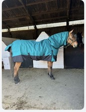 6’3 100g Turnout Rug