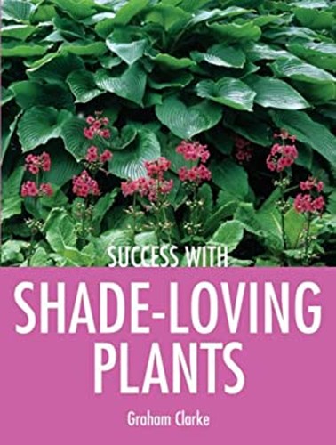 Success with shade - with, shade-loving