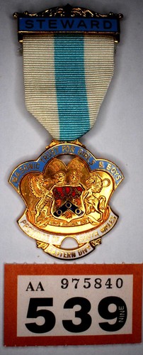 P539 charity jewel the - p539,