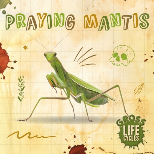 Praying mantis william - praying,