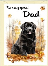 Newfoundland Dog Blank Card