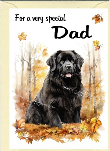 Newfoundland dog blank - newfoundland,