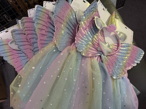 Unicorn fairy dress - fairy, up
