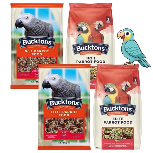 Bucktons parrot bird food seed - bird,