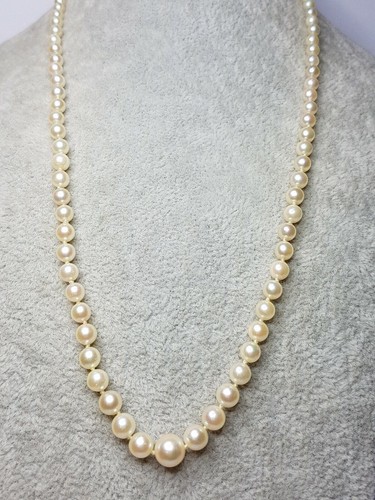 Stunning vintage graduated - stunning,