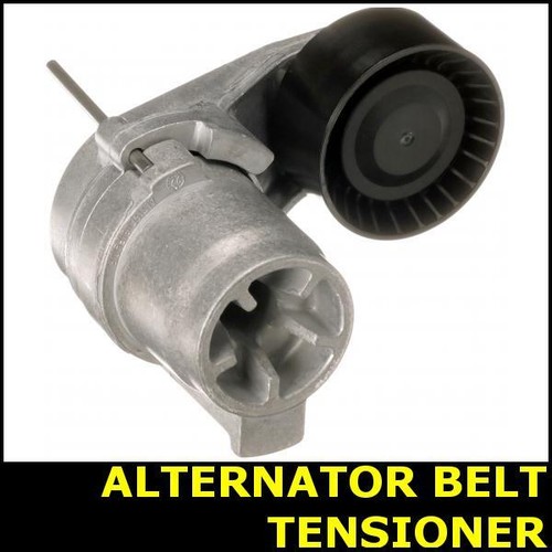 Ribbed belt tensioner - ribbed,