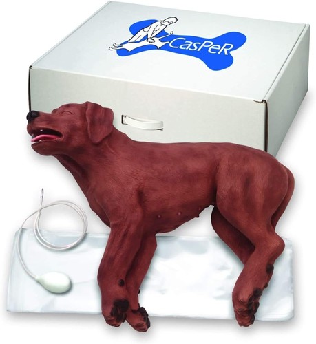 Veterinary cpr dog - cpr,