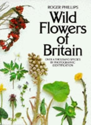 Wild flowers britain over - wild,