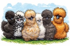 Fluffy Feather Farm Egg Box -