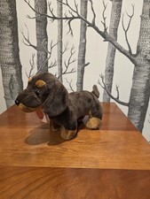 Brown And Tan Dachshund By