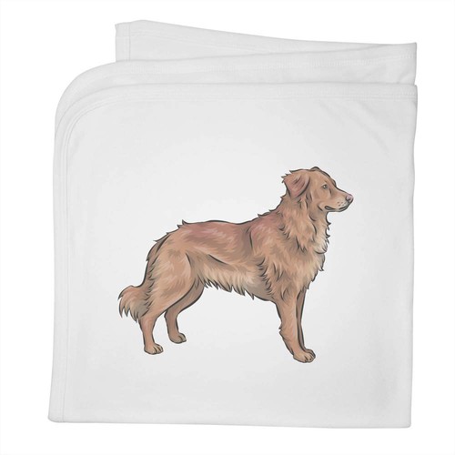 Golden retriever baby - retriever',